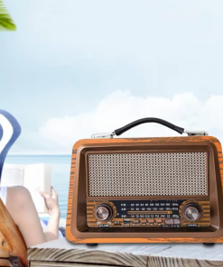 Raiseng R-2066BT Wooden Rechargeable Radio