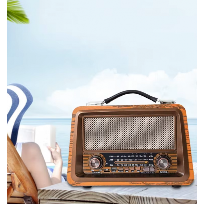 Raiseng R-2066BT Wooden Rechargeable Radio