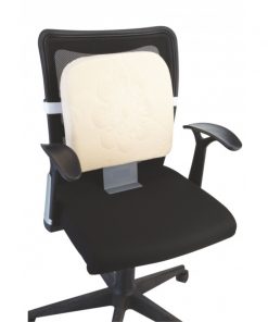 Flamingo Memmory Foam Back Rest (With Stand)